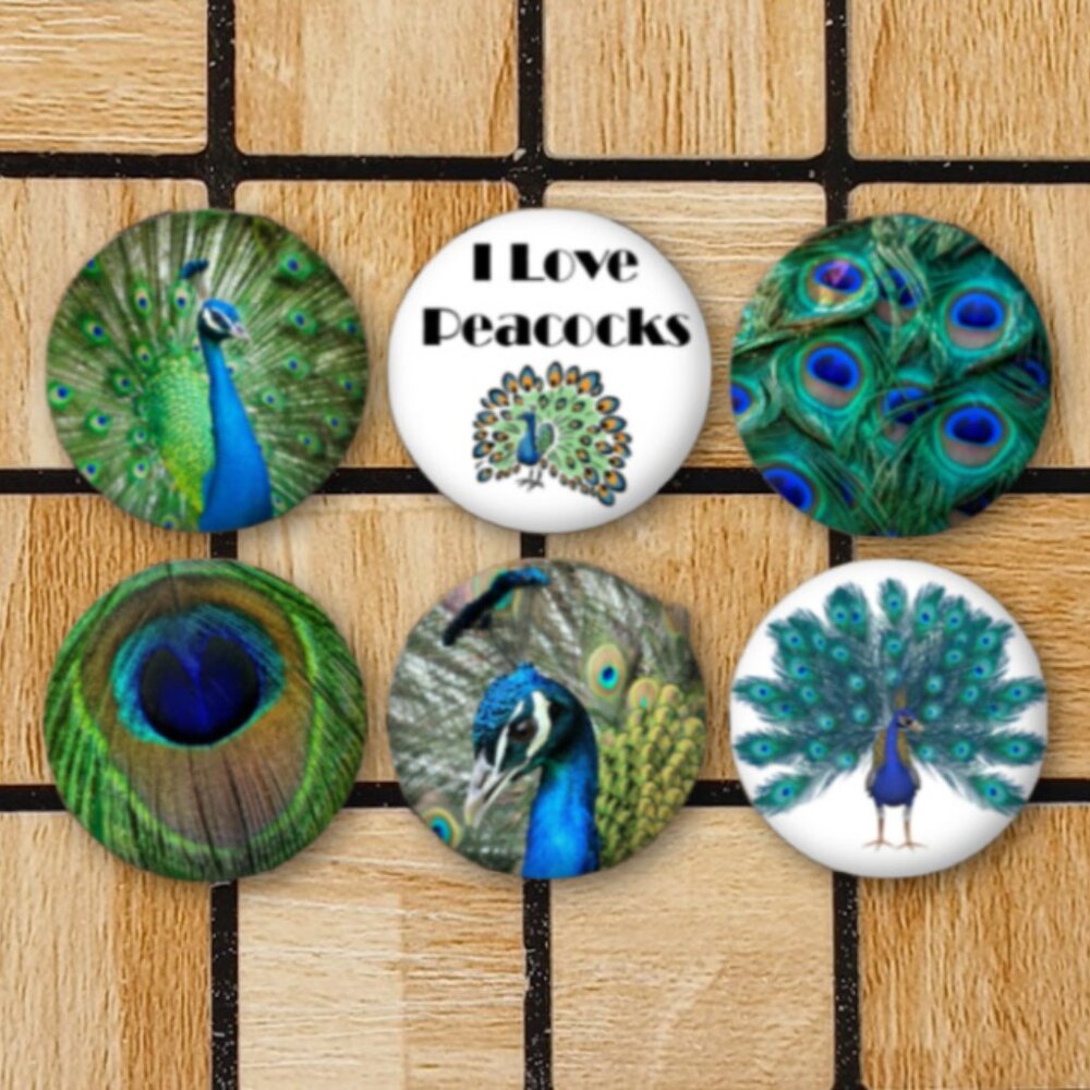 Peacock Fridge Magnets Set Of 6 Metal Magnets For Home Office Kitchen School